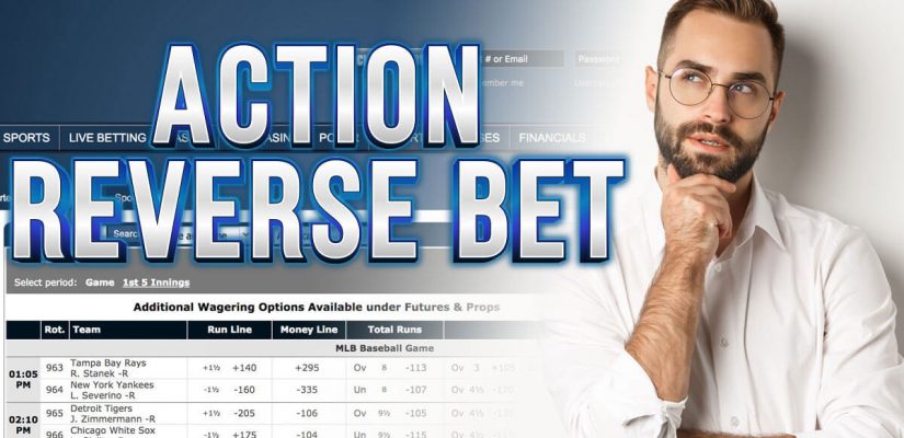 How do you bet the moneyline? A sports betting explainer