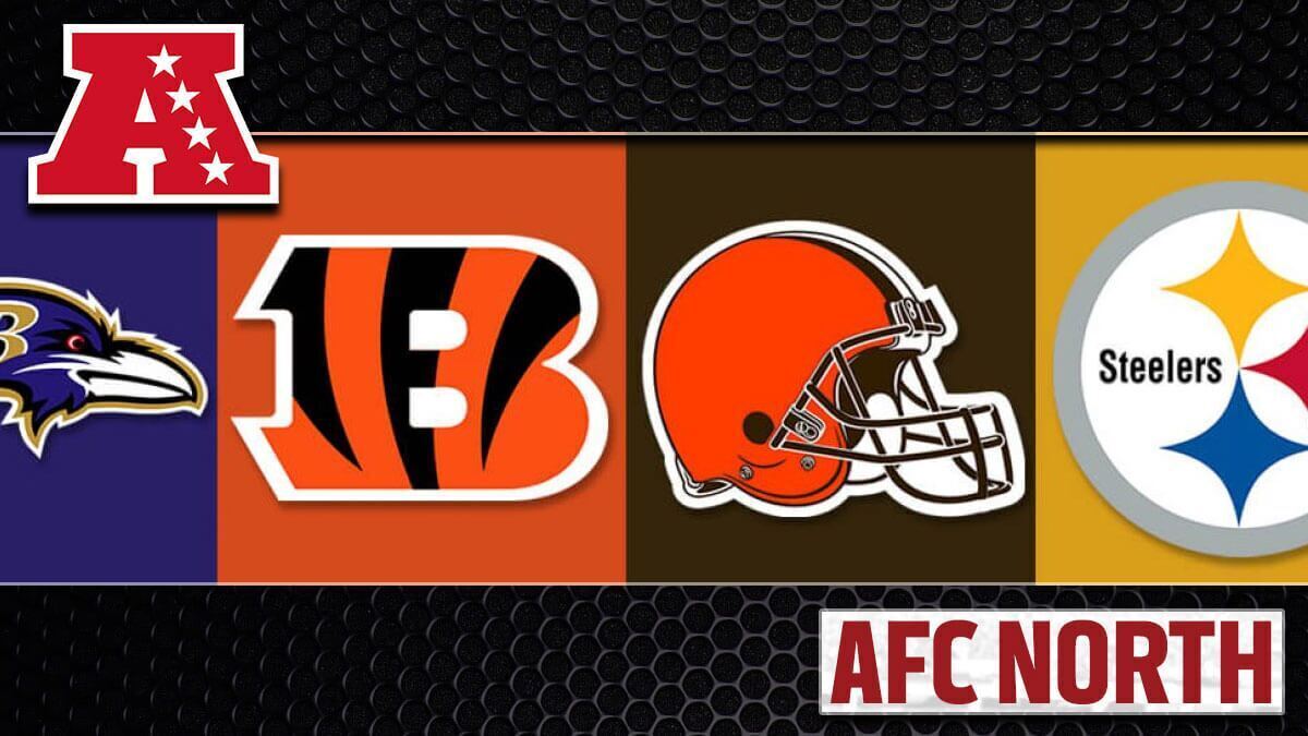 Cincinnati Bengals 2022 AFC North Division Champions Playoffs