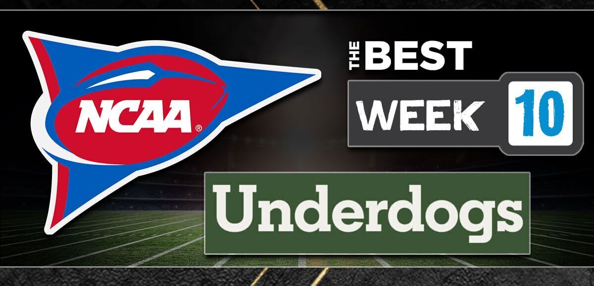 NFL Week 10 Moneyline Picks - Best Underdogs to Bet - /