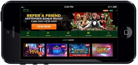 Wild Casino Review – A Full Guide to the Jungle of Online Gaming