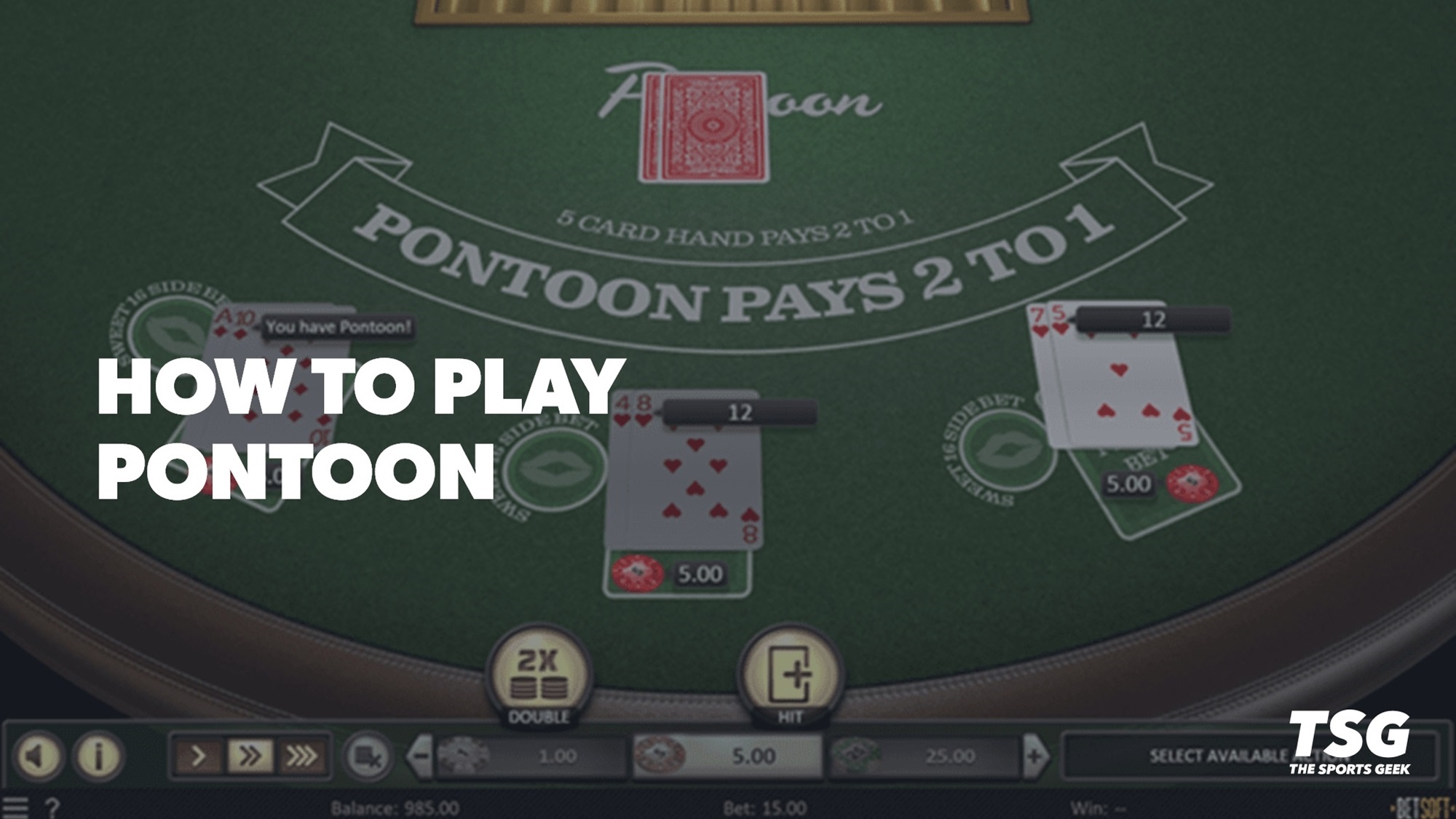 How to Play Pontoon Online